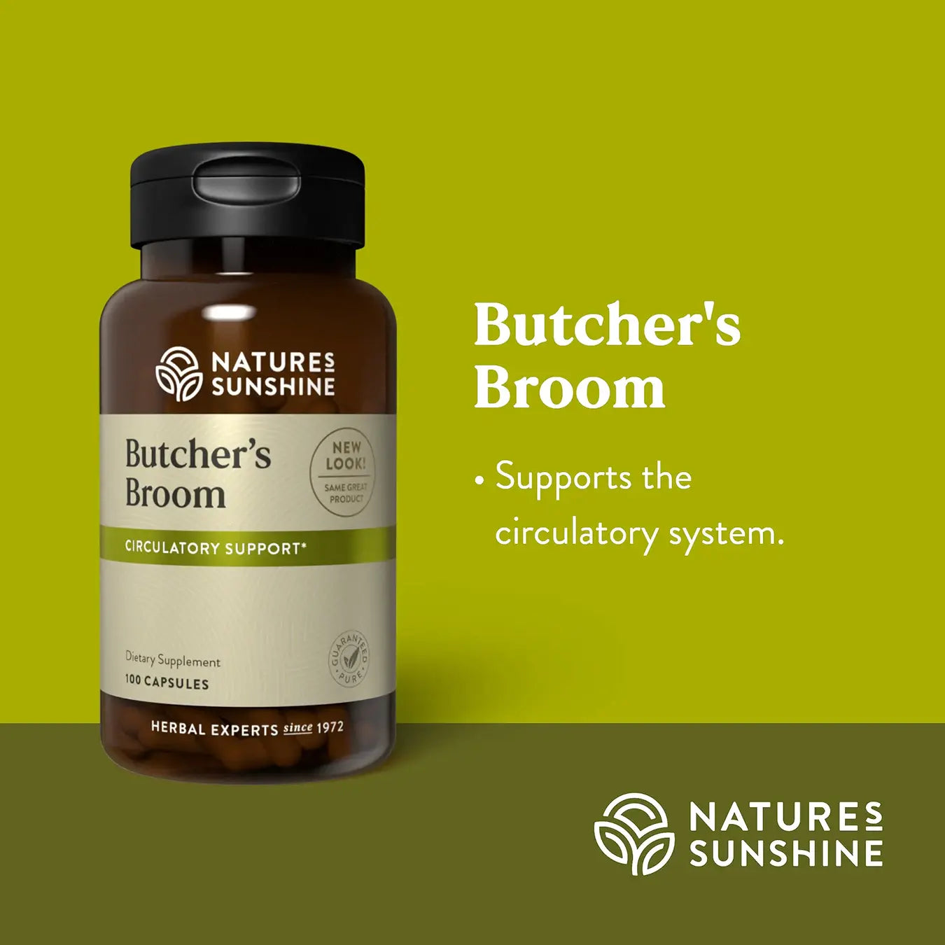 Butcher’s Broom 100 CT