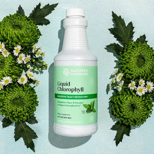 Chlorophyll, Liquid (16 fl. oz.)