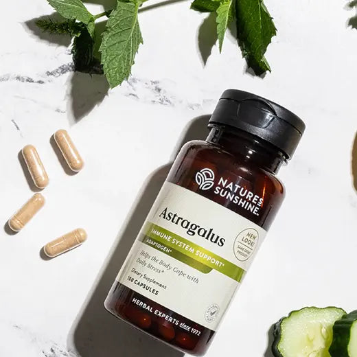 Herbal Immune Supplement Astragalus (100 caps)