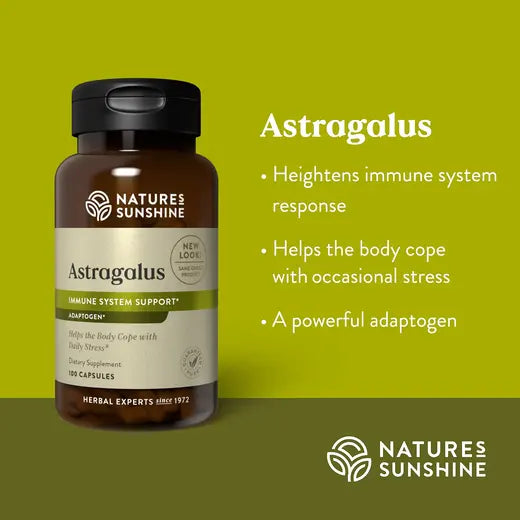 Herbal Immune Supplement Astragalus (100 caps)