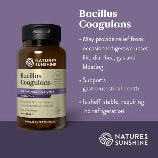 Bacillus Coagulans, NutriBiome (90 caps)