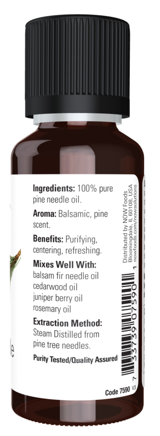 Pine Needle Oil 1 fl. oz.