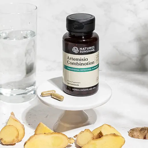 Intestinal Flora Supplement Artemisia Combination (100 caps)