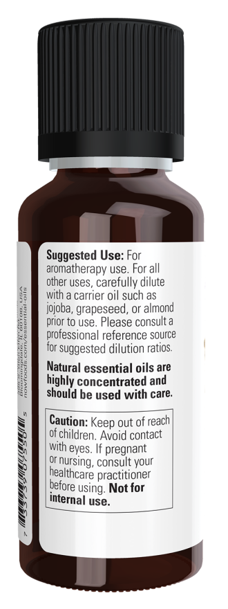 Ginger Oil