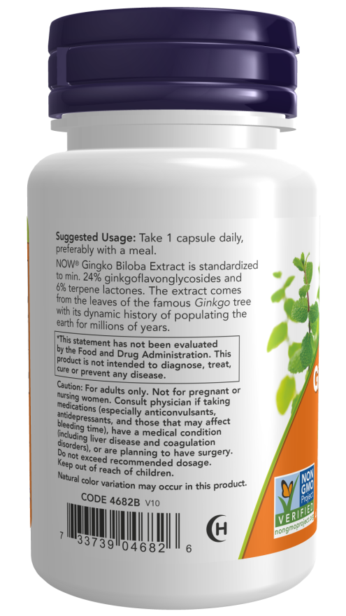 Ginkgo Biloba, Double Strength 120 mg Veg Capsules