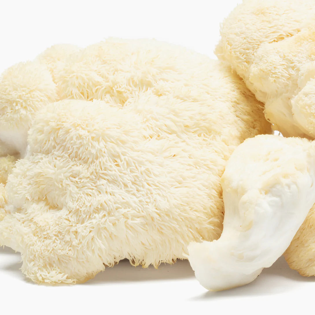 Charlotte's Web Lion's Mane Gummies