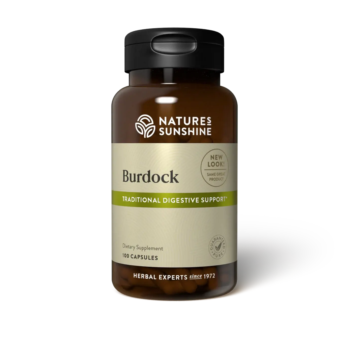 Burdock 100 CT