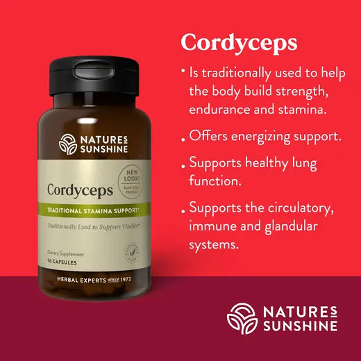 Cordyceps (90 caps)