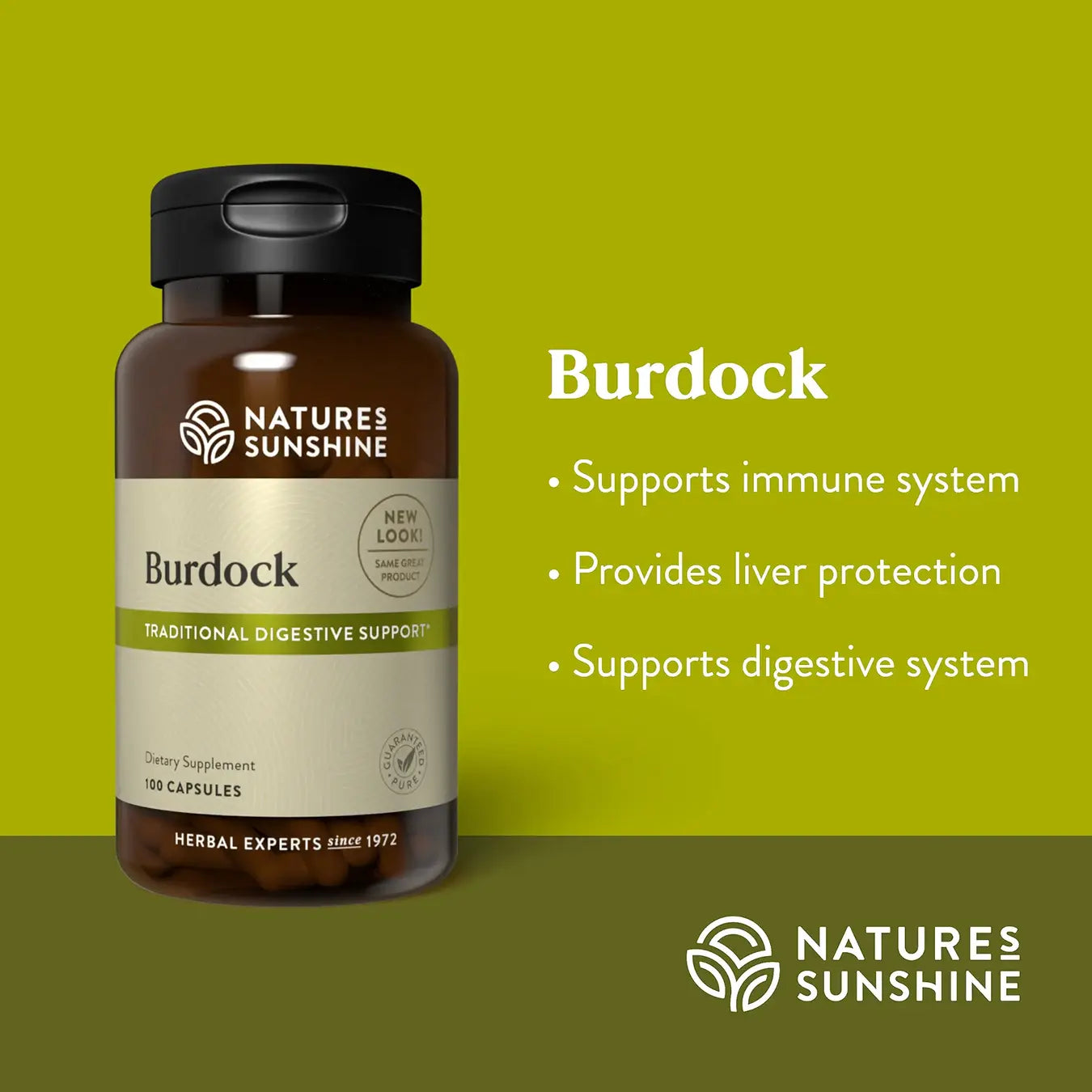 Burdock 100 CT