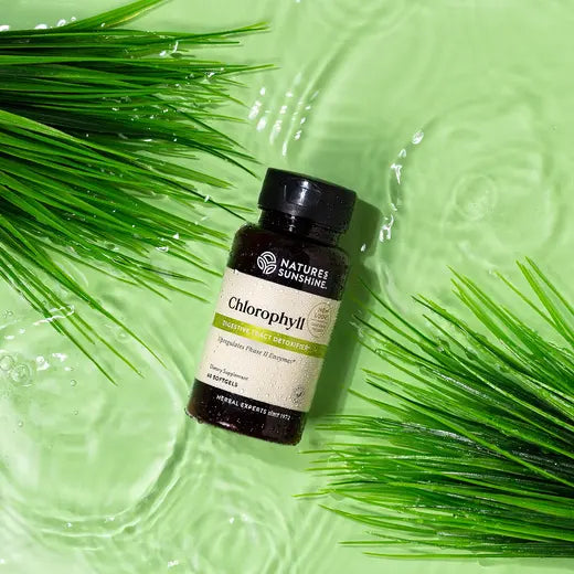 Liquid Chlorophyll Supplements (60 softgel caps)