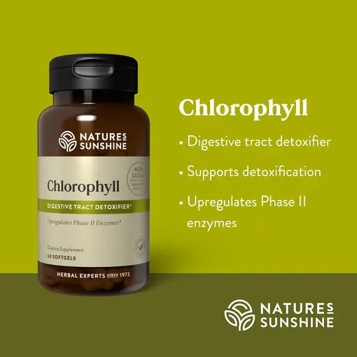 Liquid Chlorophyll Supplements (60 softgel caps)