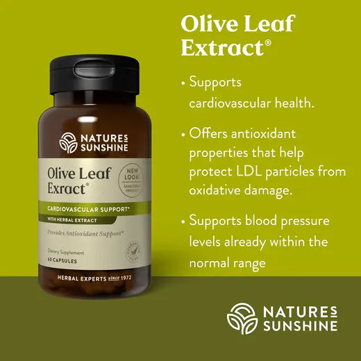 Olive Leaf Extract Concentrate (60 caps)