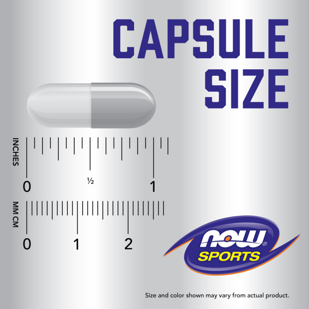 HMB 500 mg Capsules (120 Capsules)