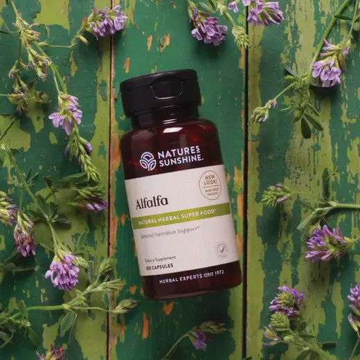 Alfalfa Supplement (100 caps)