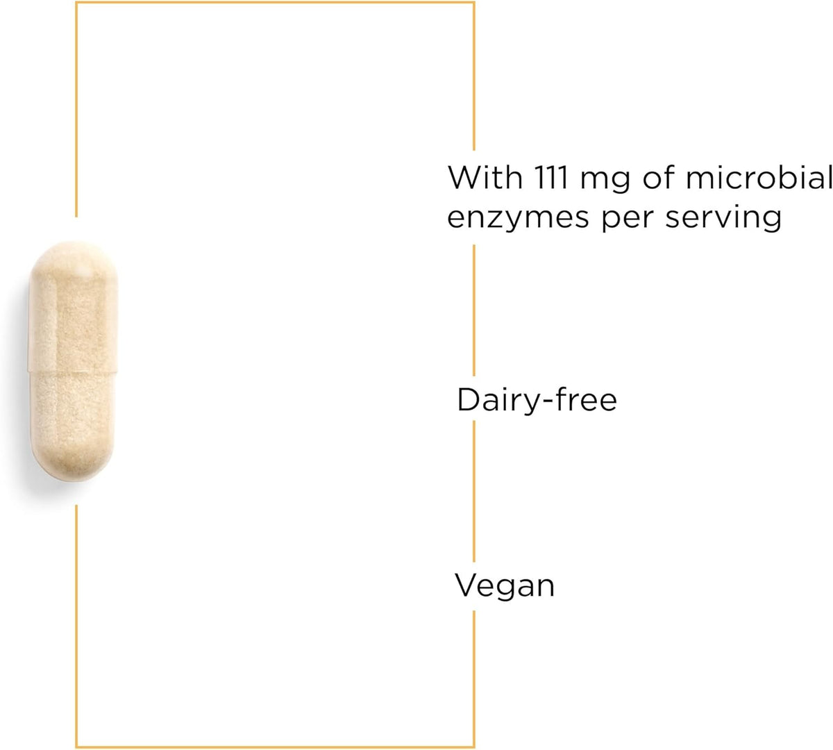 Integrative Therapeutics Lipase Concentrate HP (90)