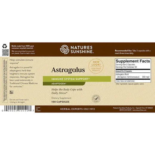 Herbal Immune Supplement Astragalus (100 caps)