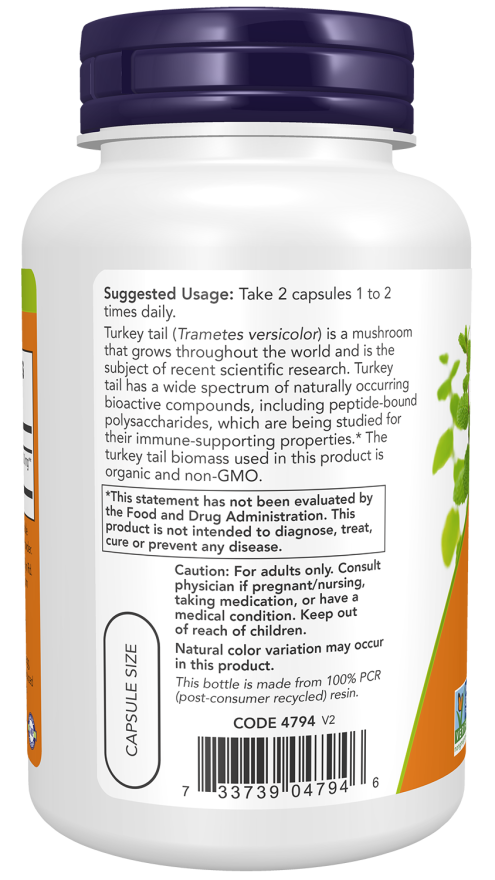 Turkey Tail 500 mg Veg Capsules (90 Veg Capsules)