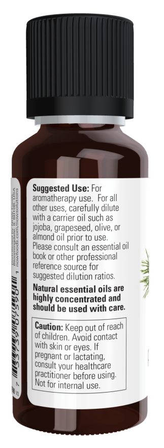 Pine Needle Oil  1 fl. oz.