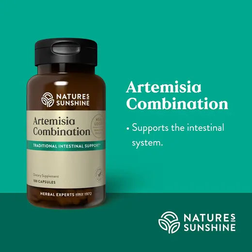 Intestinal Flora Supplement Artemisia Combination (100 caps)