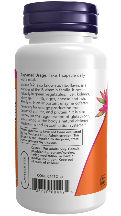 B2 100 mg (100)