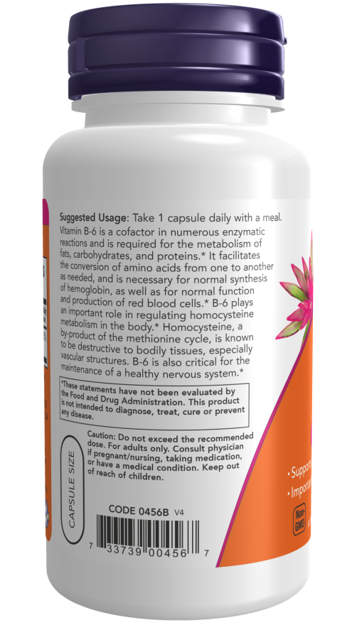 B6 100 mg (100)
