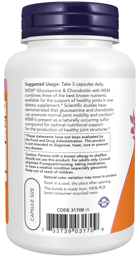 Glucosamine & Chondroitin with MSM Capsules