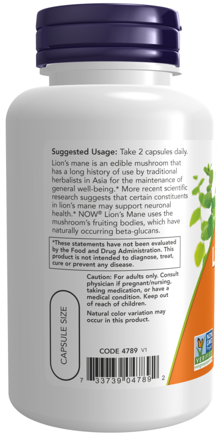 Lion's Mane 500 mg Veg Capsules