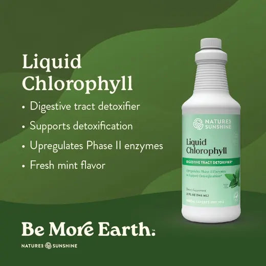 Chlorophyll, Liquid (16 fl. oz.)
