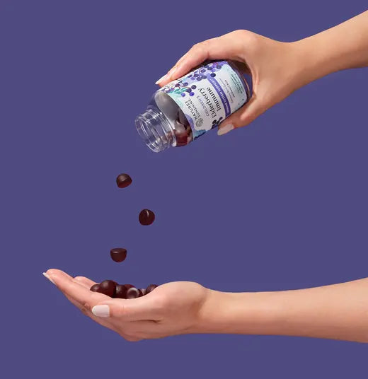 Elderberry Immune Gummies (60 gummies)