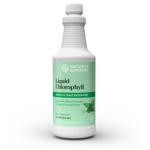 Chlorophyll, Liquid (16 fl. oz.)